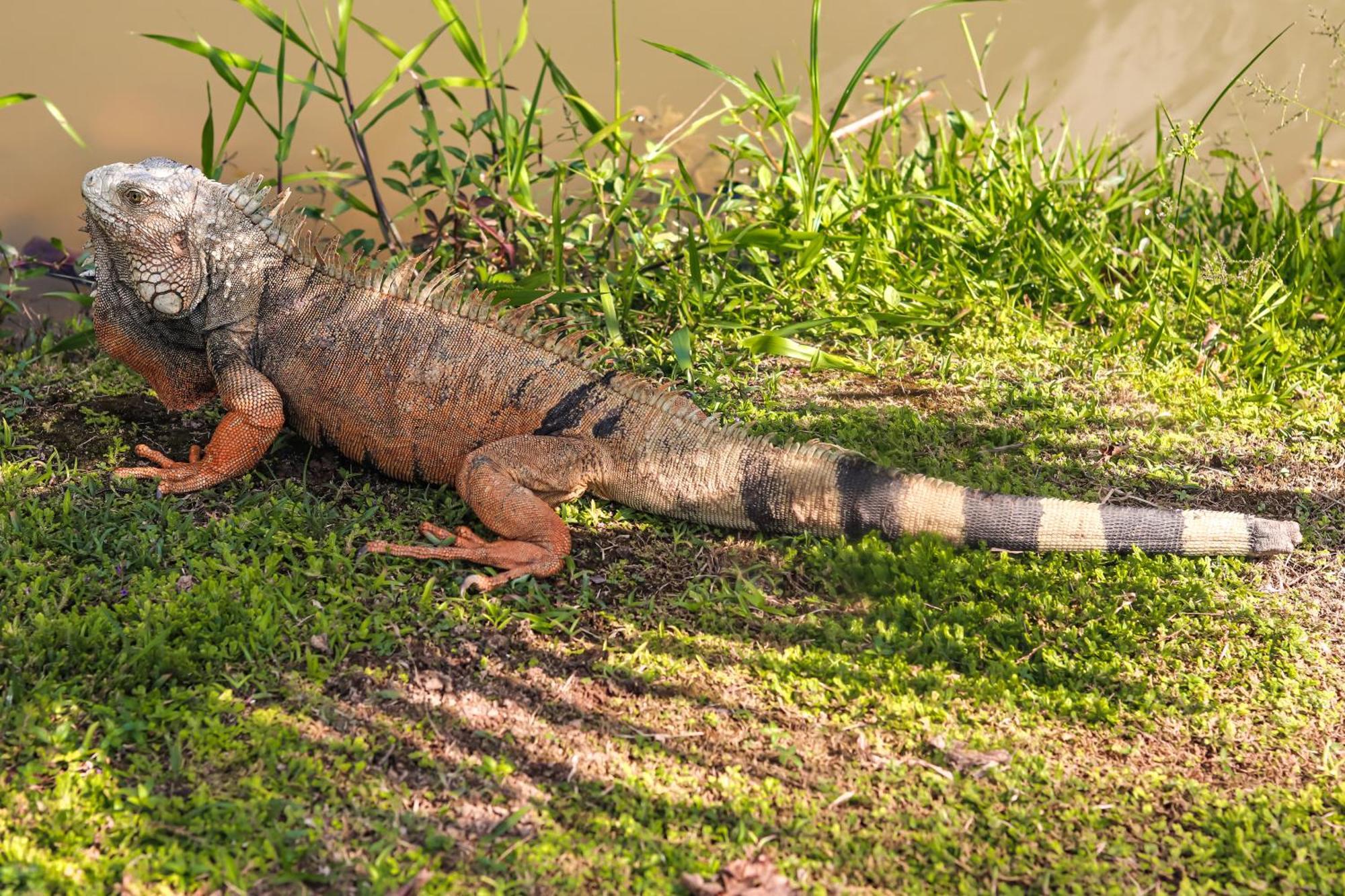 Los Colores Ecoparque Doradal Екстериор снимка